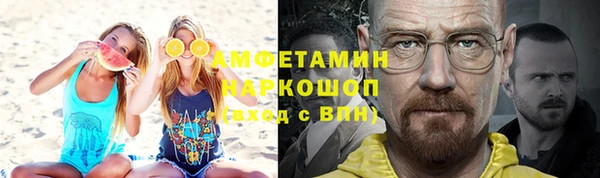 индика Ростов