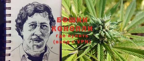 индика Ростов
