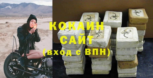 шишки Волосово